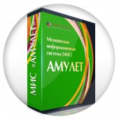 Медицинская информационная система (МИС) «Амулет»